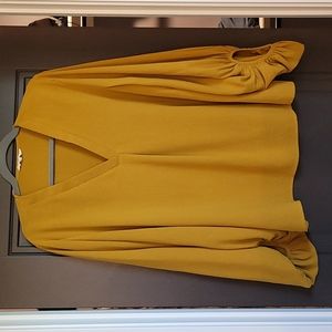 V Neck Blouse with Balloon Sleeves